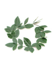 Green Roman Wreath Accessory