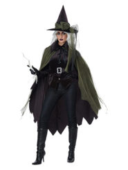 Womens Green And Black Witch Costume
